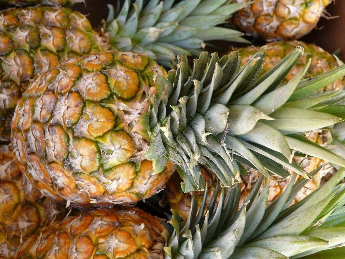Ananas bons pour la santé