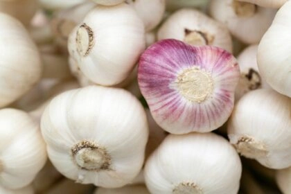 Ail bon pour la santé