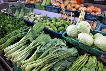 Les aliments contre la fatigue des seniors