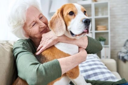 service à la personne soin aux animaux