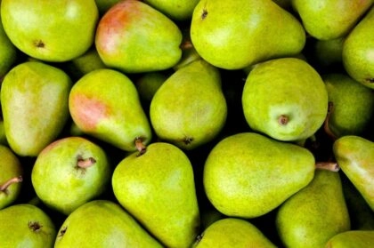 Poires bonnes pour la santé