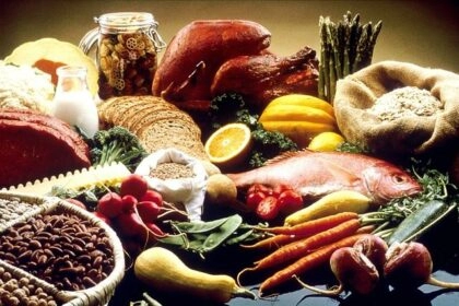 Aliments riches en protéines