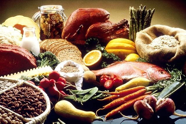 Aliments riches en protéines