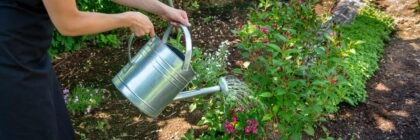 service à la personne jardinage