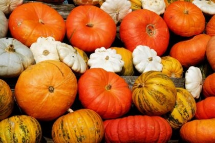 Courges bonnes pour la santé