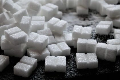 morceaux de sucre blanc