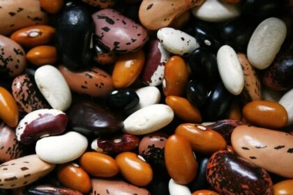 Légumineuses bonnes pour la santé