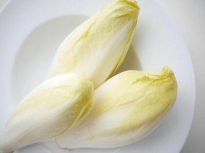 Les bienfaits de l'endive pour la santé