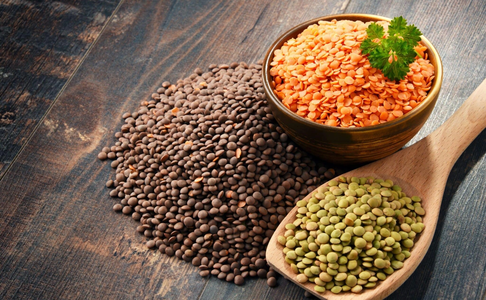 Lentilles et bienfaits